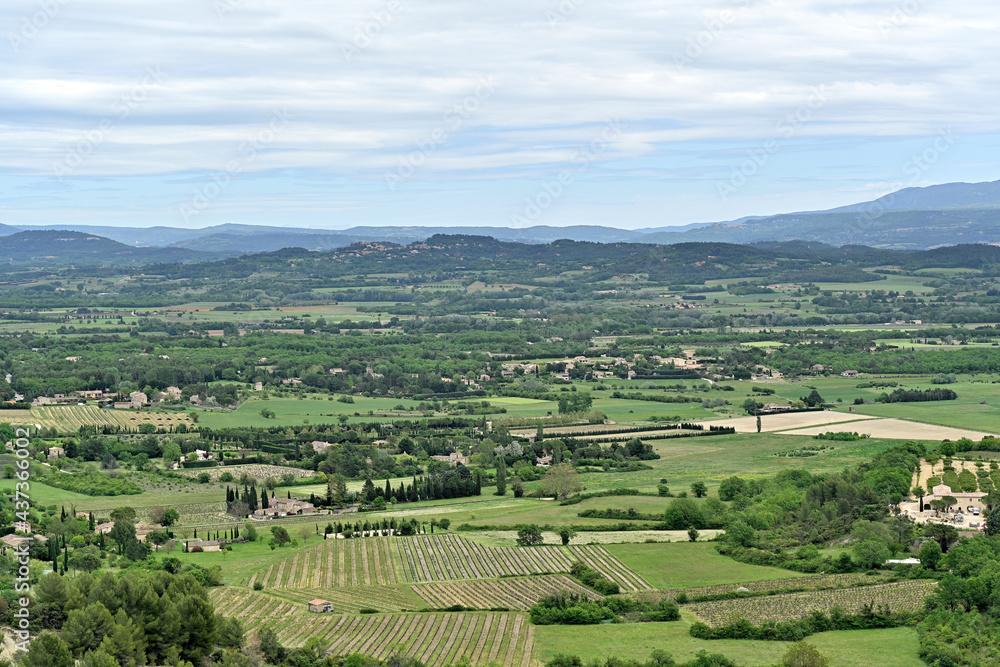 Fototapeta premium Paysage provençal
