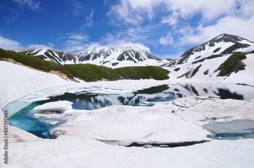 立山アルパイン 雪解けのみくりが池