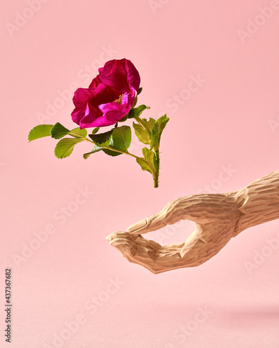 Carved wooden hand letting out a rose flower. Ecology or love concept. photo