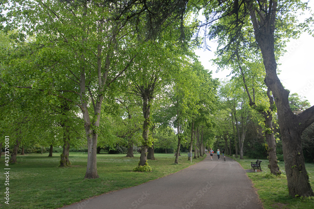 a sunny day at Chiswick House and Garden park, Lodon