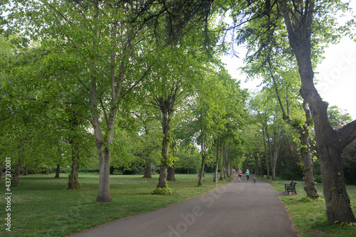 Fototapeta Naklejka Na Ścianę i Meble -  a sunny day at Chiswick House and Garden park, Lodon