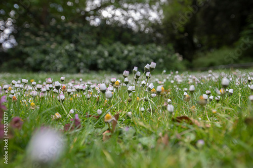 a sunny day at Chiswick House and Garden park, Lodon