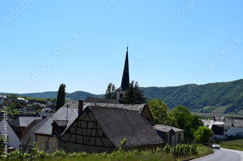 Blick auf Moseldorf Piesport photo