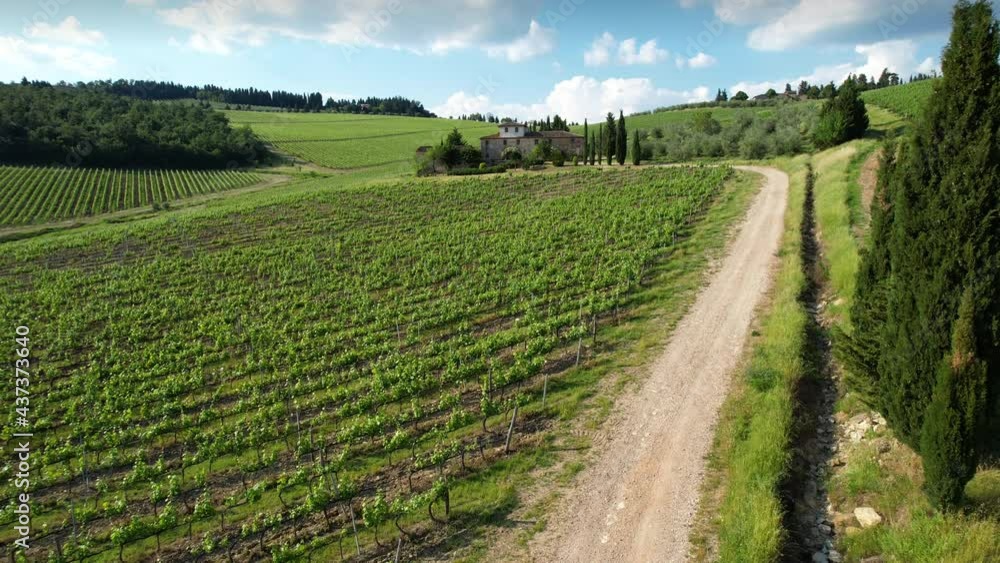 Aerial view of rows of young green vineyards with farmhouse and blue cloudy sky in Tuscany in the Chianti Classico Area. Italy Aerial view of rows of young green vineyards with farmhouse and blue cloudy sky in Tuscany in the Chianti Classico Area. Italy