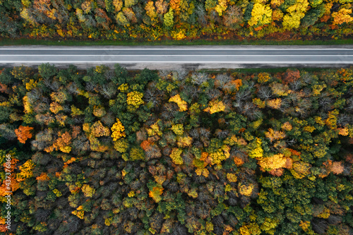 Aerial view of road going through beautiful autumn forest