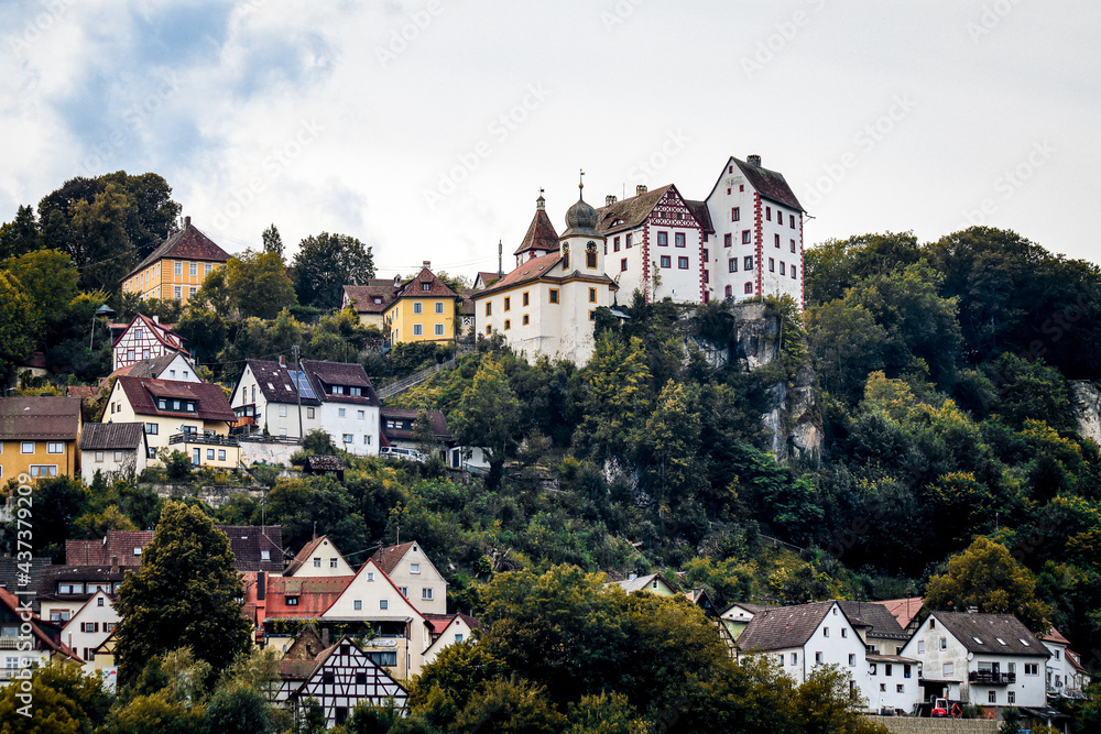 view of a town with a castle on a hill and multiple houses in germany