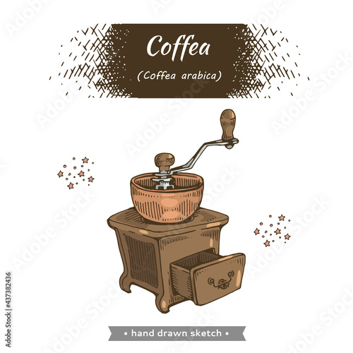 Coffea arabica. Coffee tools and eqipment. Coffee mill.