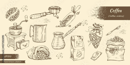 Coffee equipment and tools. Coffea seeds arabica.