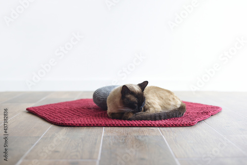 Siamese cat sleeping on carpet on white background
