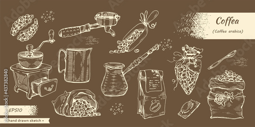 Coffee tools and seeds. Coffea arabica.