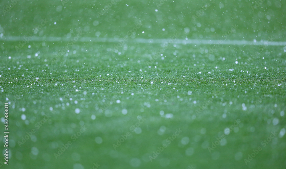 Details of green grass of football pitch seen during the rain showers