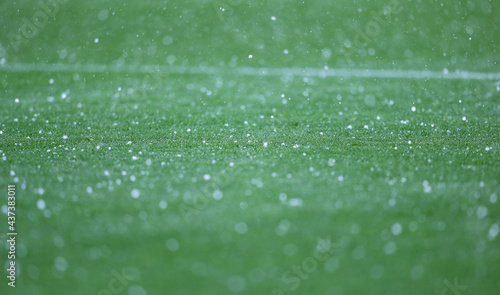 Details of green grass of football pitch seen during the rain showers © katatonia