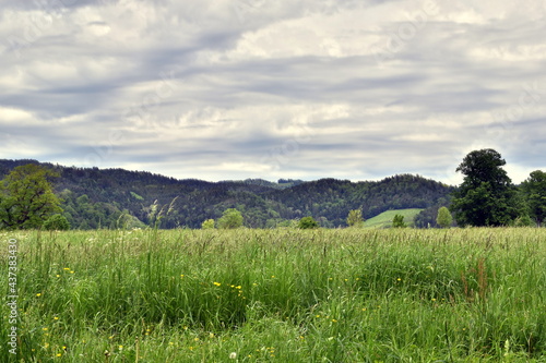 Fr  hling im Dreisamtal bei Freiburg