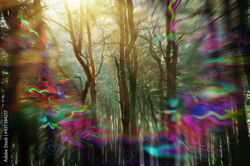 Εκτύπωση καμβά View of forest and flashing lights effect