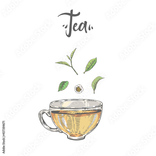 Hand-drawn lettering tea cup with the saucer.