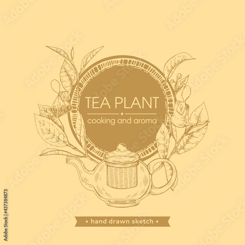 Hand-drawn sketch tea plant with cooking and aroma.
