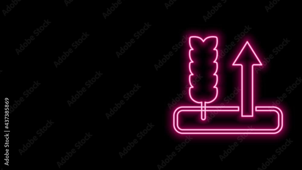 Glowing neon line Cereals set with rice, wheat, corn, oats, rye, barley icon isolated on black background. Ears of wheat bread symbols. 4K Video motion graphic animation Glowing neon line Cereals set with rice, wheat, corn, oats, rye, barley icon isolated on black background. Ears of wheat bread symbols. 4K Video motion graphic animation