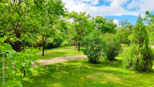 Beautiful spring park in the morning still life with cloudy sky