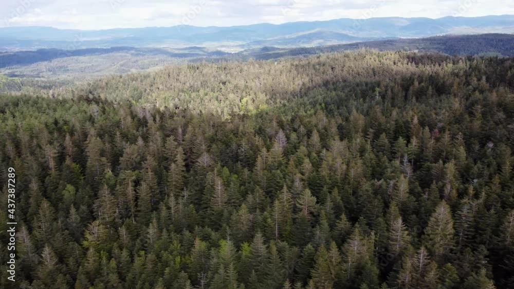 Aerial drone view of mountain forest with overcast weather trucking movement 4K Aerial drone view of mountain forest with overcast weather trucking movement 4K