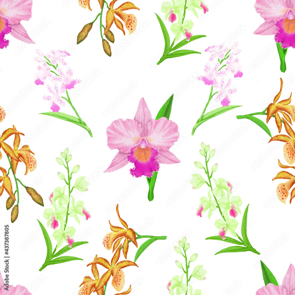 Pink Cattleya orchid flower blossom seamless pattern on white and clipping path