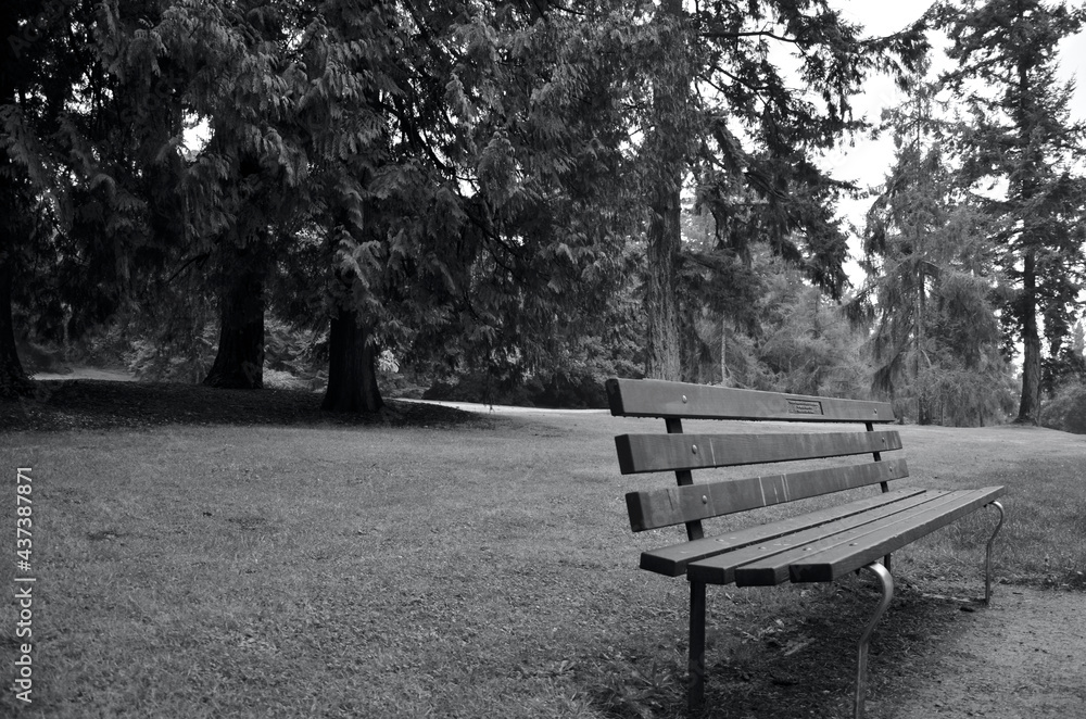 Lonely bench in the Queen Elizabeth Park Vancouver
