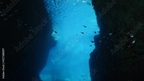 Wallpaper Mural cave diving underwater for scuba divers to explore caves and having fun ocean scenery sun beams and rays background Torontodigital.ca