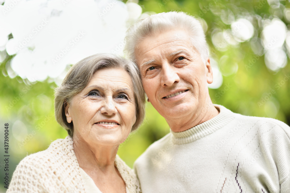 beautiful senior couple  posing in the park