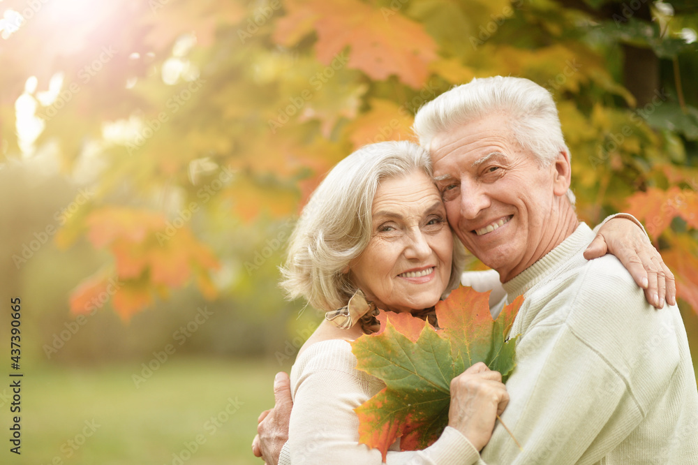 portrait of beautiful senior couple embracing   in the park