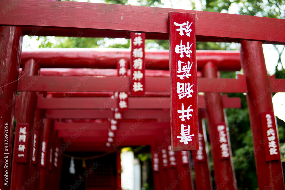 豪雨被害の青井阿蘇神社　鳥居