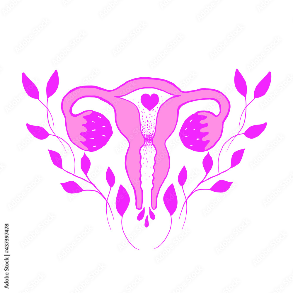 Female appendages of the uterus, ovaries, fallopian tube, endometrium organ for conceiving a child of pregnancy. Vector graphics
