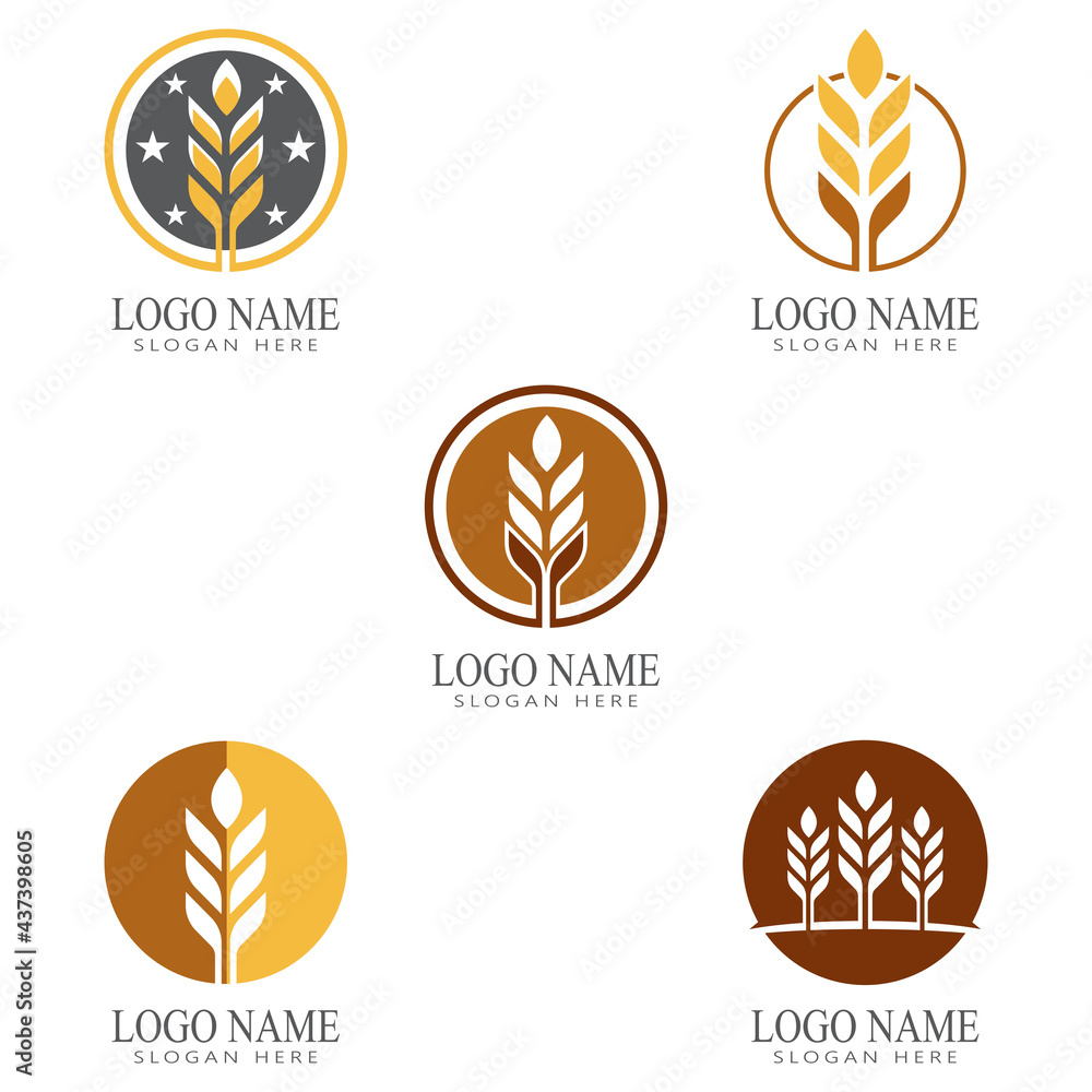 Agriculture wheat vector icon design Agriculture wheat vector icon design