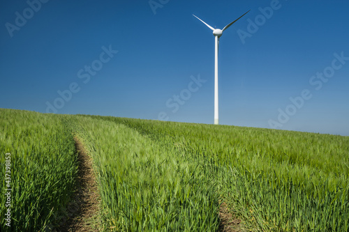 Windenergie Anlage im Gerstenfeld wolkenlos