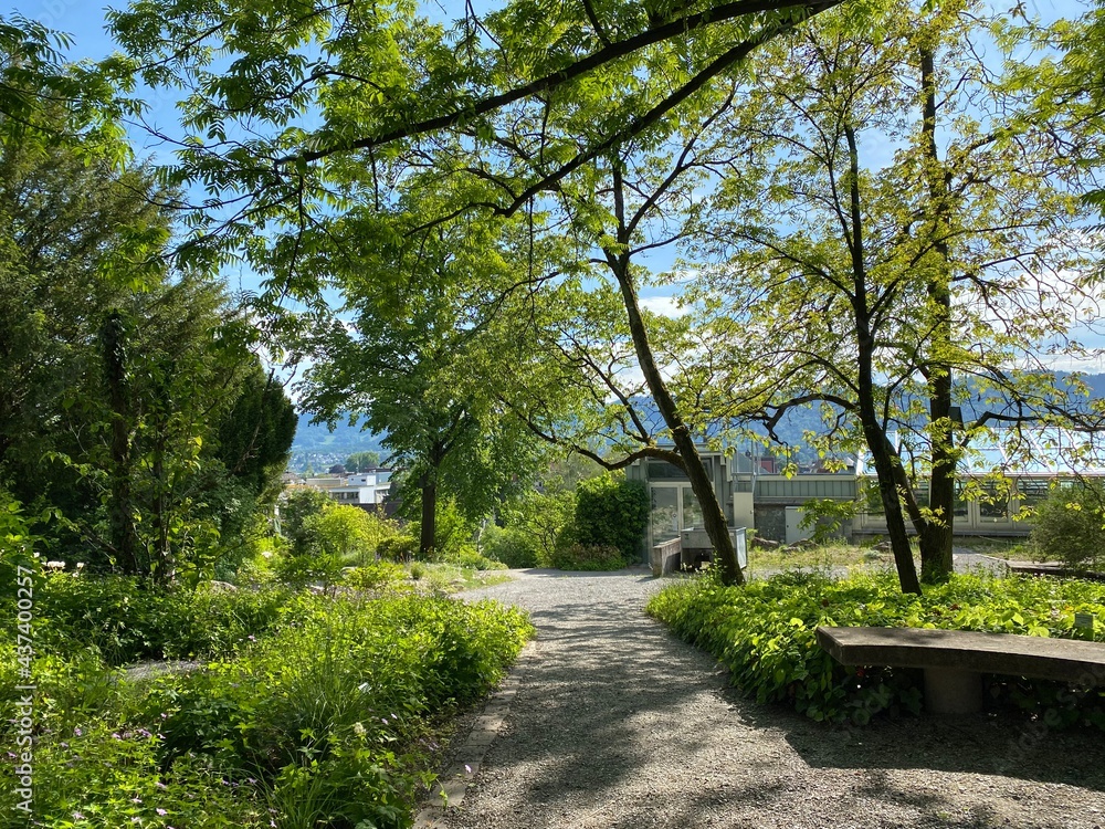The Botanical Garden of the University of Zurich or Botanischer Garten der Universität Zürich (Botanischer Garten der Universitat Zurich - Botanischer Garten der Universitaet Zuerich), Switzerland The Botanical Garden of the University of Zurich or Botanischer Garten der Universität Zürich (Botanischer Garten der Universitat Zurich - Botanischer Garten der Universitaet Zuerich), Switzerland