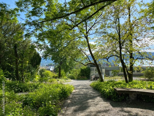 The Botanical Garden of the University of Zurich or Botanischer Garten der Universit  t Z  rich  Botanischer Garten der Universitat Zurich - Botanischer Garten der Universitaet Zuerich   Switzerland