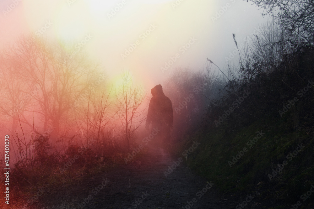 Obraz premium An atmospheric, moody concept. Of a ghostly hooded figure standing on a forest path on a foggy day. With a grunge, light leak, retro edit.