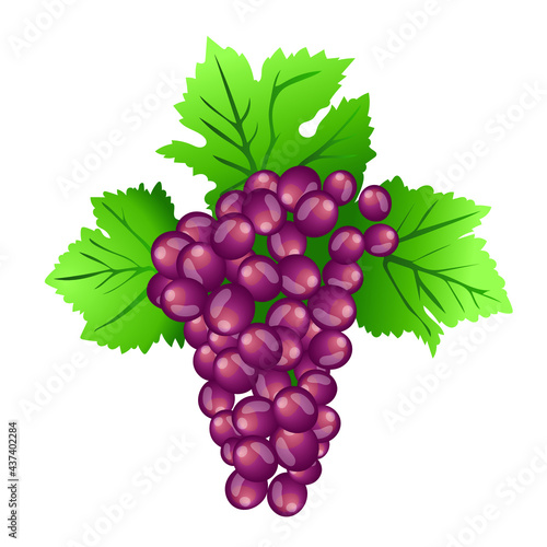 Grappe de Raisins
