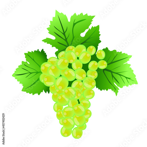 Grappe de Raisins