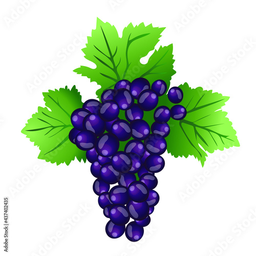 Grappe de Raisins