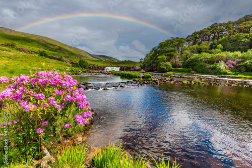 Fotografía Sprint Rhododendron with rainbow over AshLeigh Falls on the Eniff River in Count
