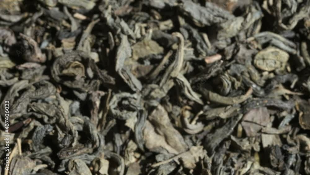 Green Chinese tea gunpowder. Dried coiled leaves close up. Falling. Macro video. Selective focus Green Chinese tea gunpowder. Dried coiled leaves close up. Falling. Macro video. Selective focus