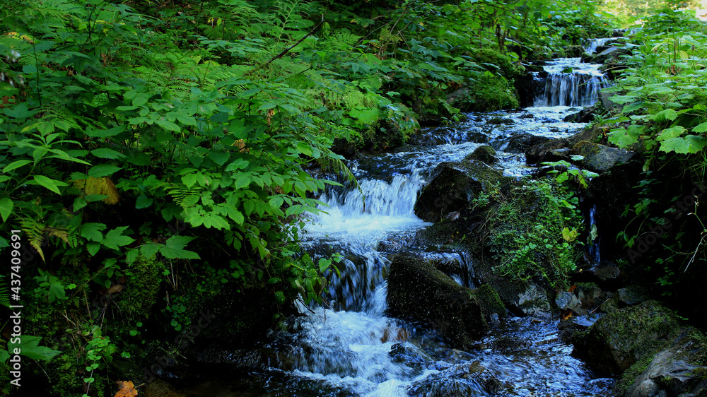 Cascade Of Small Waterfalls In Mountain Creek Cascade Of Small Waterfalls In Mountain Creek