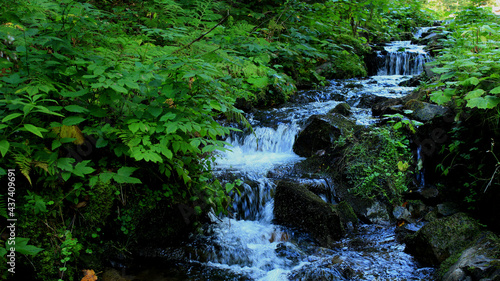 Cascade Of Small Waterfalls In Mountain Creek