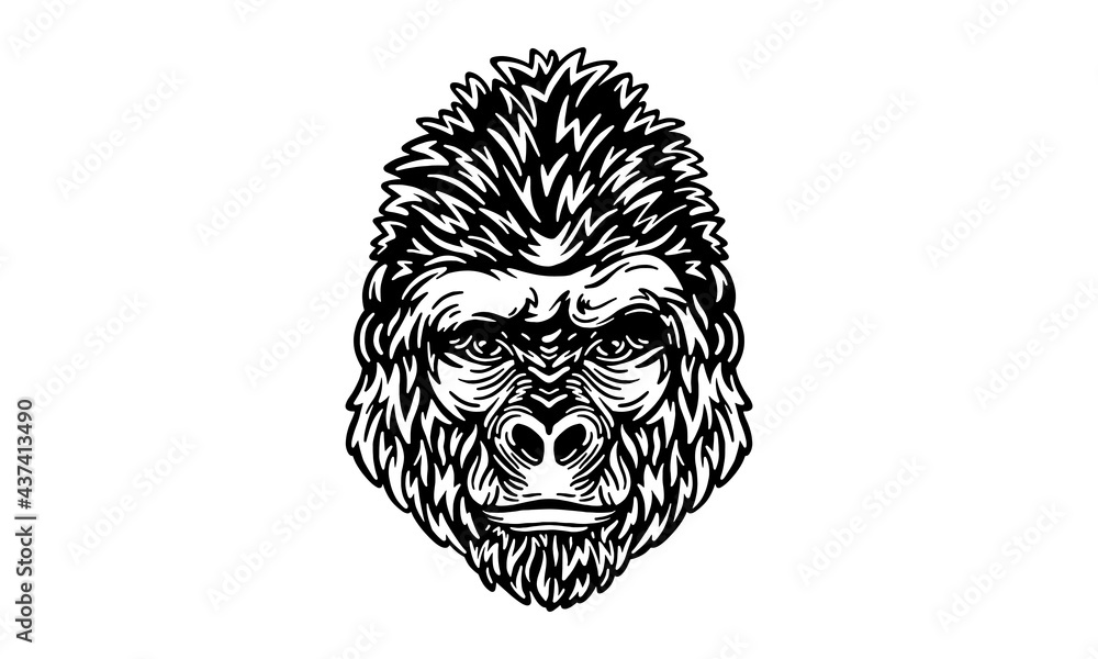 gorilla gorilla
