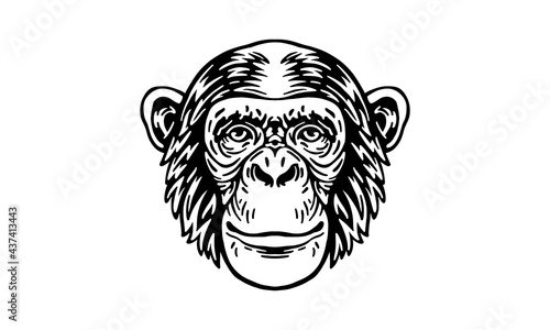 chimpanzee