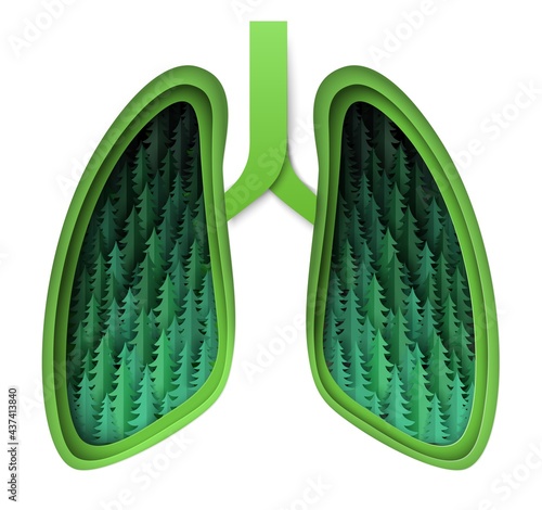 Paper cut human lungs with fir trees, vector illustration. Forests, green lungs of the Earth. Save nature, ecology.