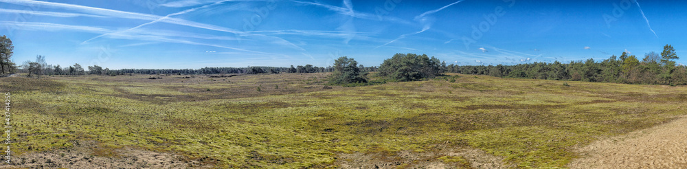 Kootwijker sands Veluwe Kootwijker sands Veluwe