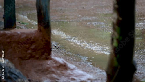 Wallpaper Mural Slow motion Water drops in the rain Torontodigital.ca