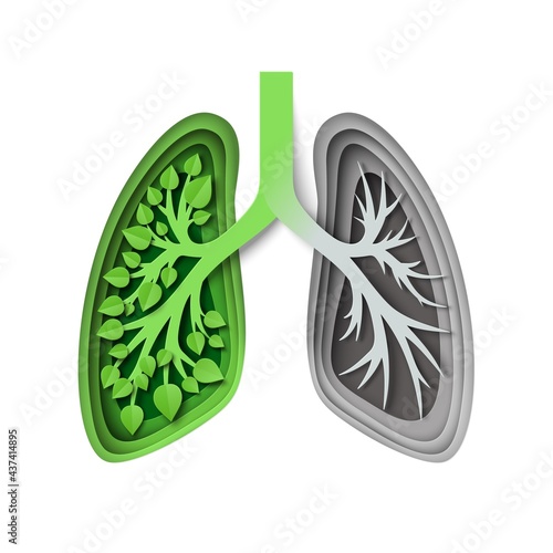 Nature lungs with leaves and without, vector illustration in paper art style. Save nature, environment. Ecology concept
