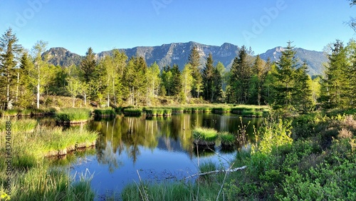 Inzeller Filze - Moorsee