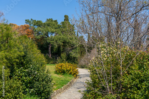Image of a walkway in the spring park.